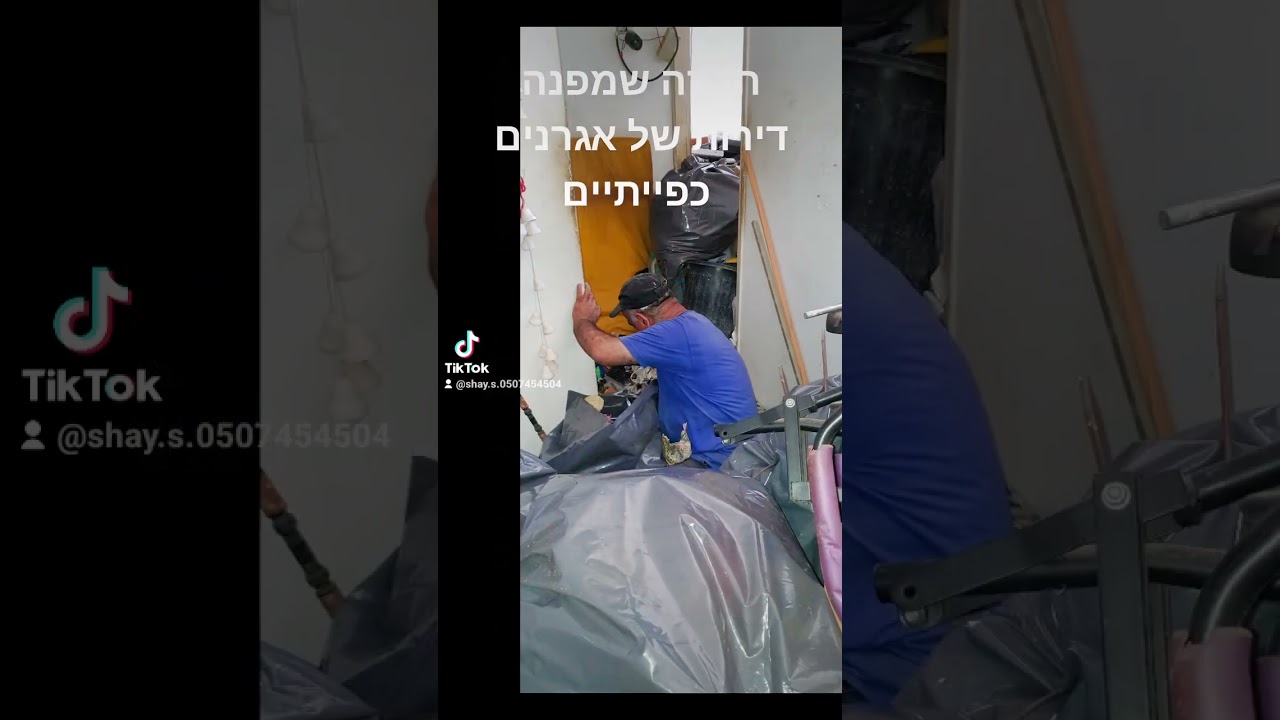 סידור ואחסון תכולת מכולות לפני פינוי: איך לעשות זאת נכון